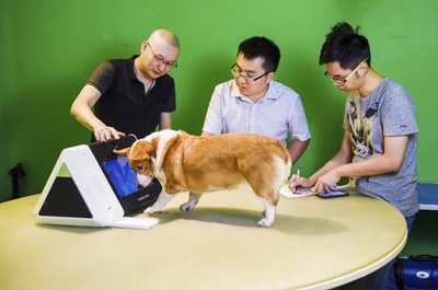 深圳前海深港青年夢(mèng)工場(chǎng)里香港創(chuàng)業(yè)者